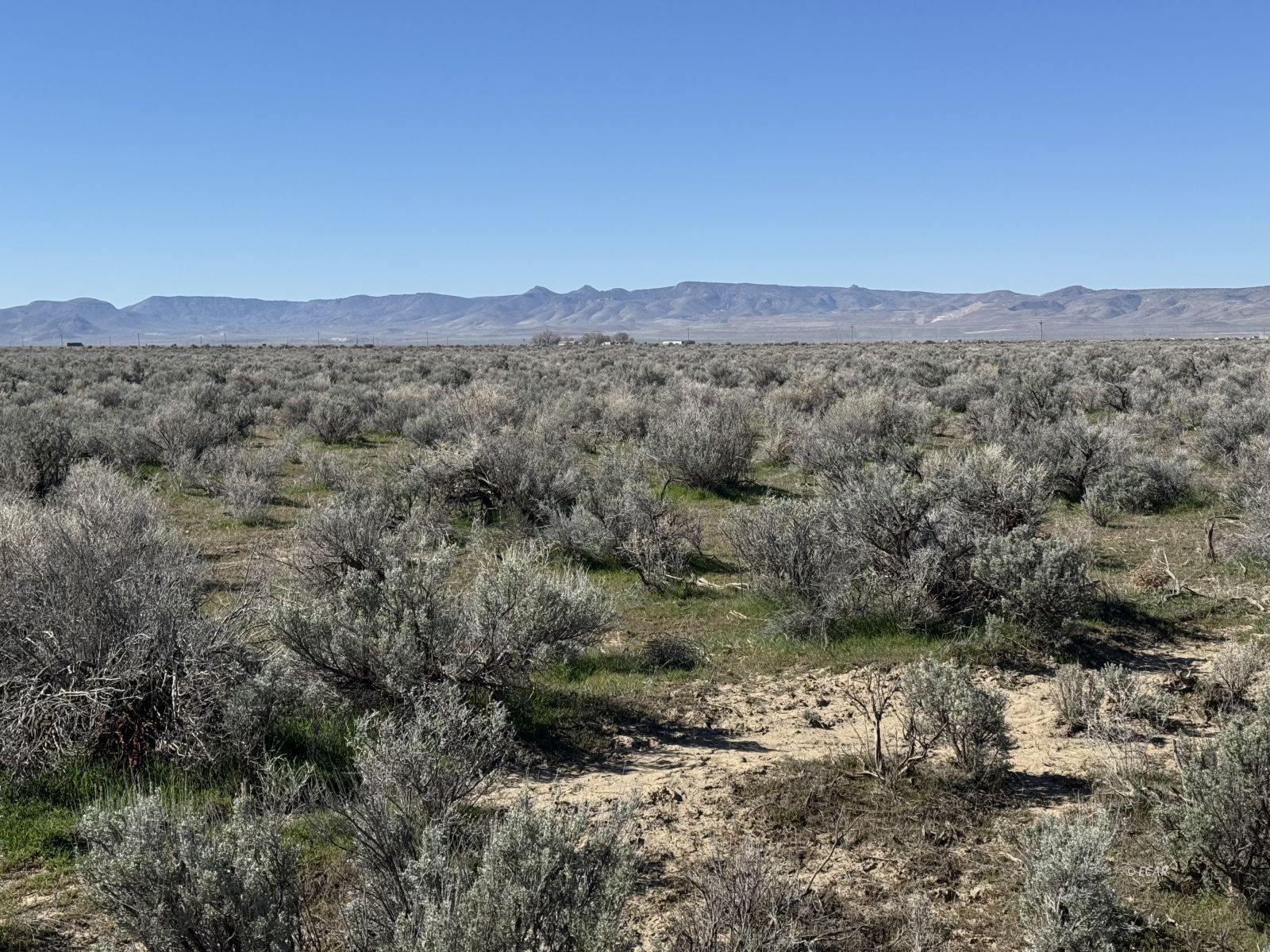 Filippini Ranch Road Battle Mountain, NV 89820 - Photo 5 of 10