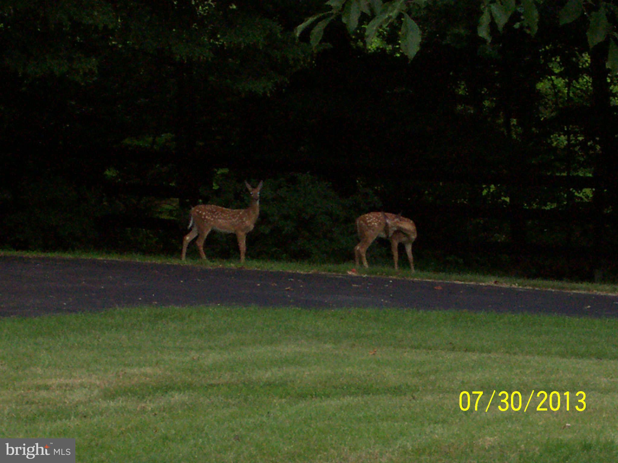 2609 Enterprise Road Bowie, MD 20721 - Photo 20 of 24 View