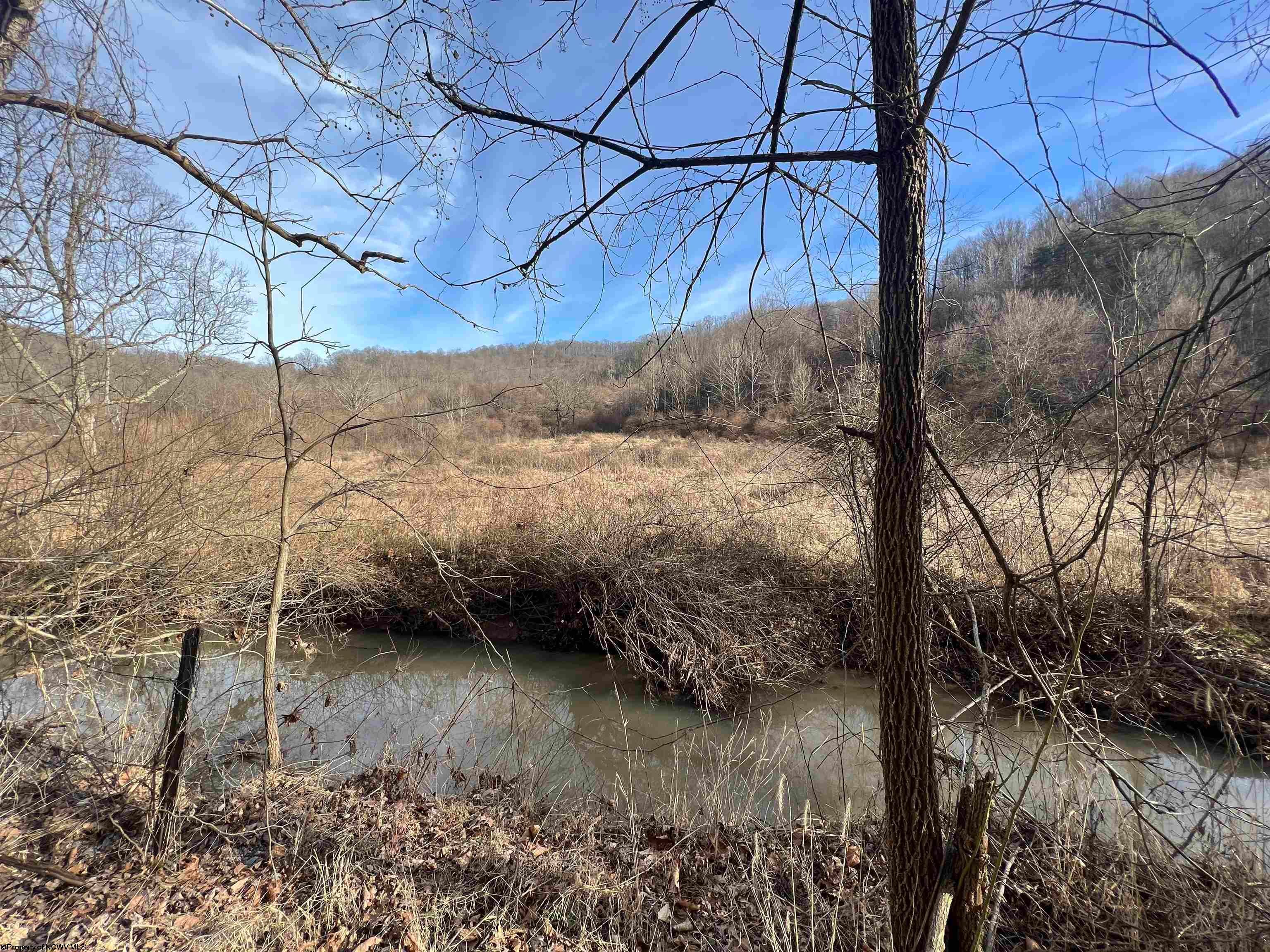Tbd Beverlin Fork Center Point, WV 26339 - Photo 14 of 14 Gallery Image 14
