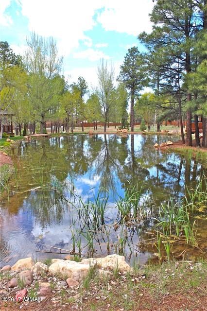 2318 Overgaard Springs Loop Overgaard, AZ 85933 - Photo 24 of 29 Gallery Image 24
