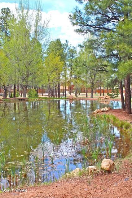 2318 Overgaard Springs Loop Overgaard, AZ 85933 - Photo 25 of 29 Gallery Image 25