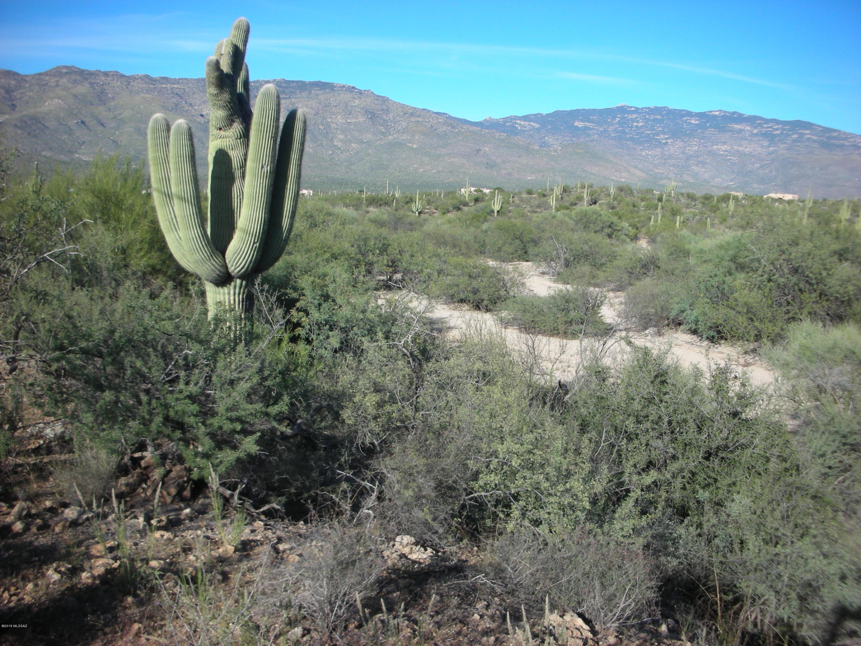 Tbd East Camino Dorotea Road Vail, AZ 85641 - Photo 20 of 24