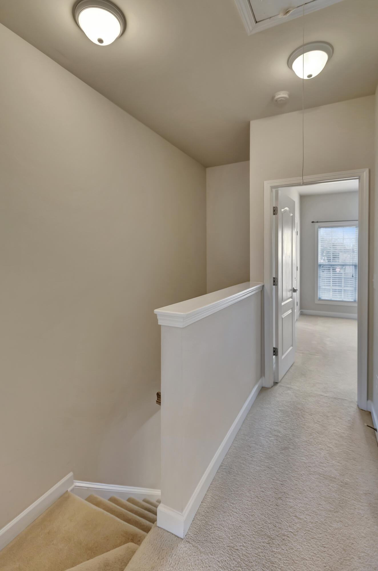 804 Rue Drive Charleston, SC 29414 - Photo 17 of 21 296A8841