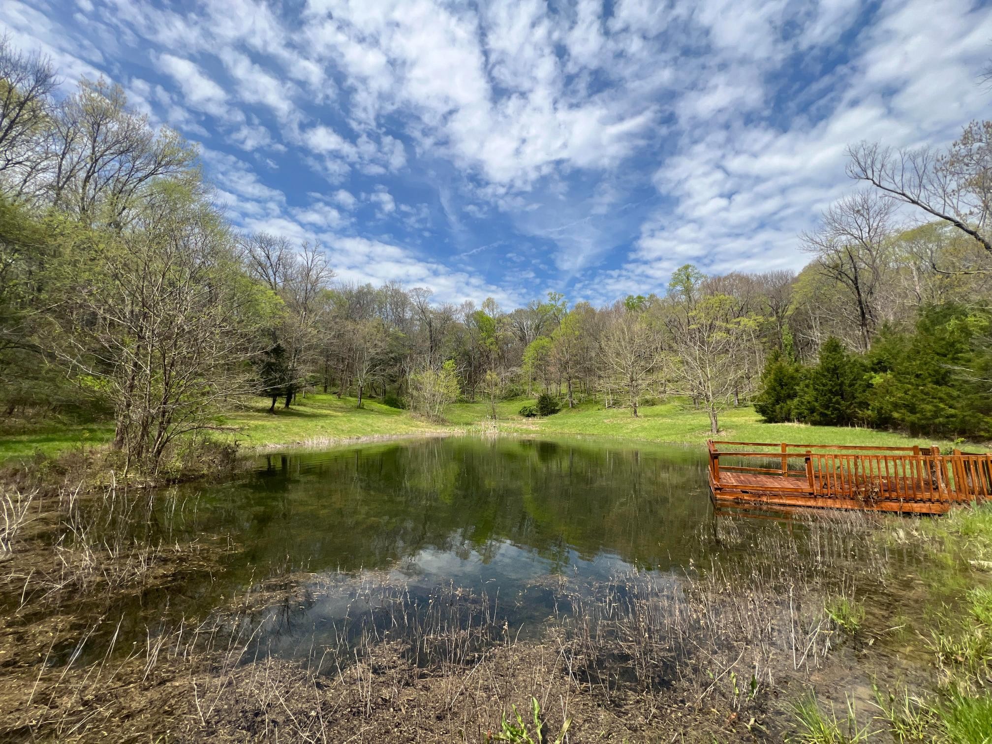 10515 Paw Paw Springs Road Arrington, TN 37014 - Photo 1 of 13 a view of a lake with a yard