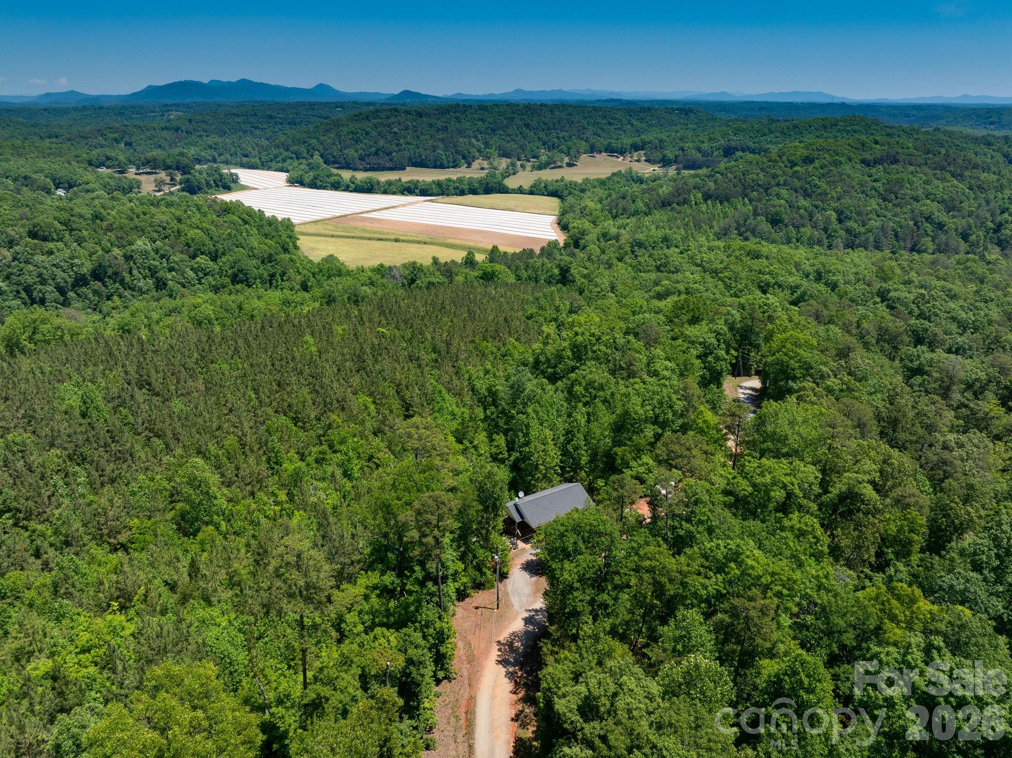 419 Travelers Rest Lane Rutherfordton, NC 28139 - Photo 32 of 35
