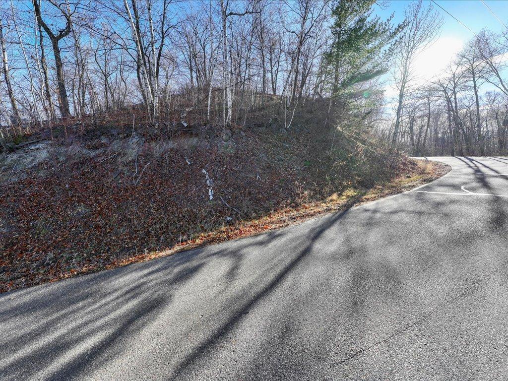 Tbd Lakeview Drive Cushing, MN 56443 - Photo 11 of 12