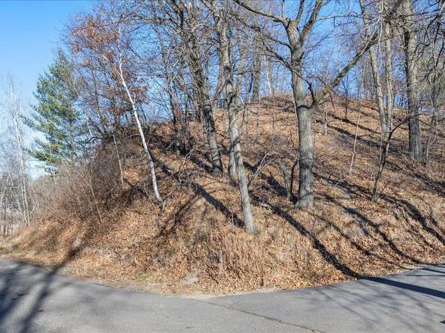 $99,900 | Tbd Lakeview Drive, Cushing, MN 56443