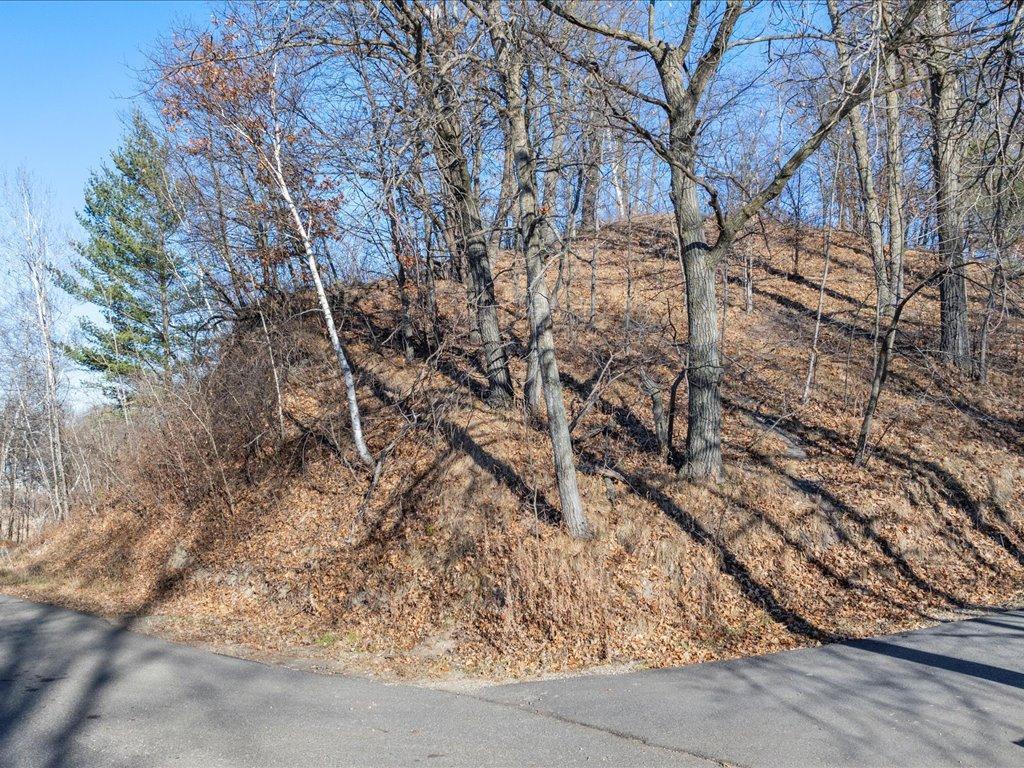 Tbd Lakeview Drive Cushing, MN 56443 - Photo 12 of 12