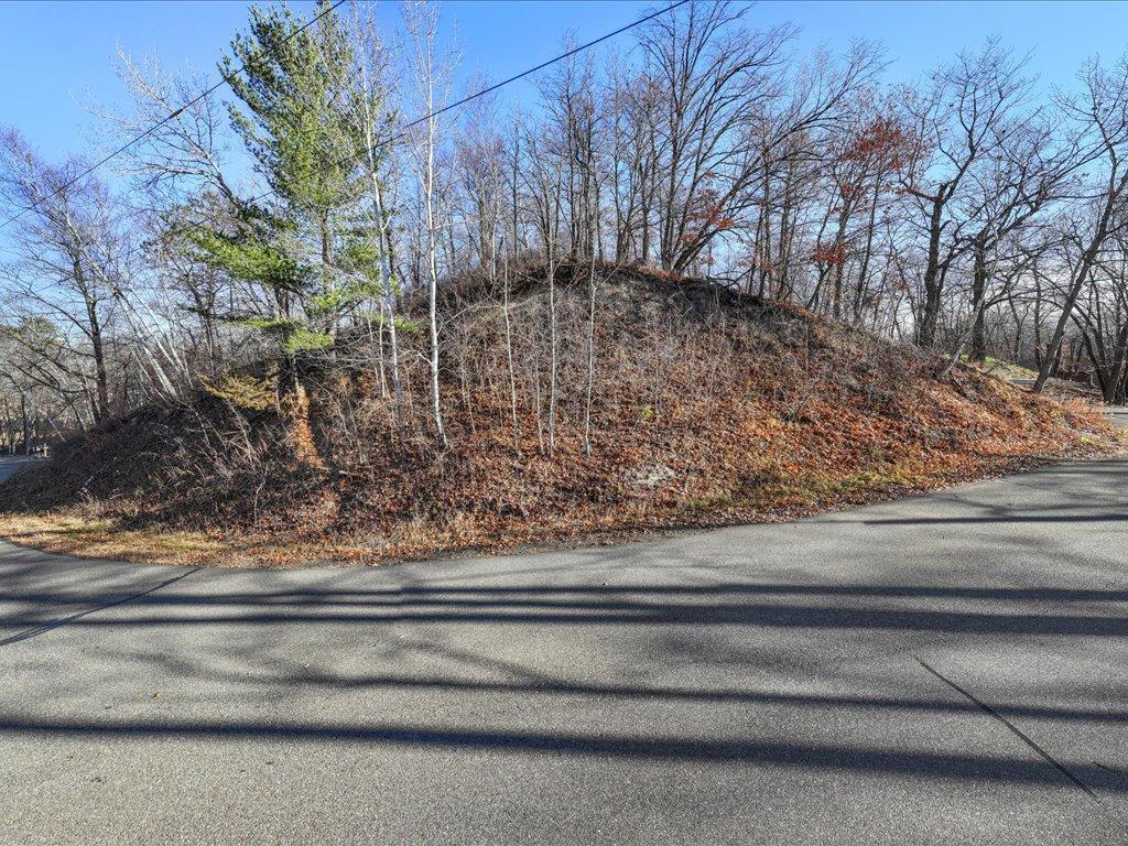 Tbd Lakeview Drive Cushing, MN 56443 - Photo 10 of 12