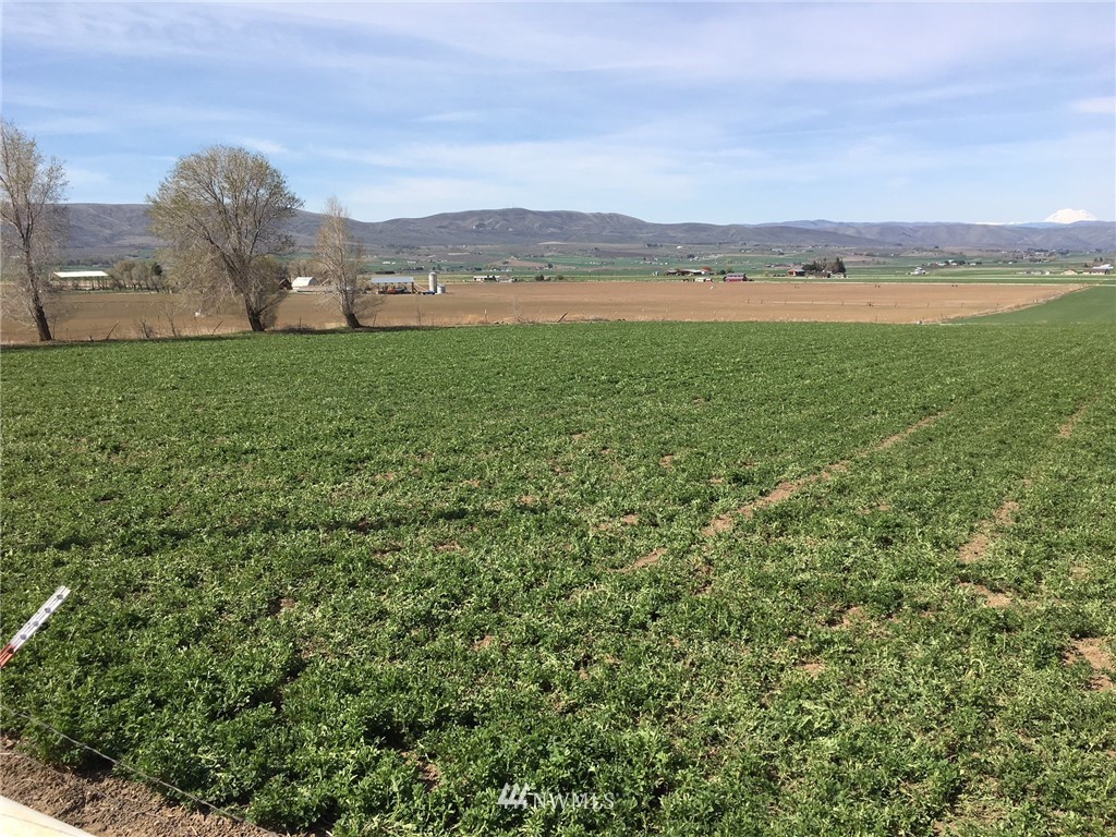 415 Bare Road Ellensburg, WA 98926 - Photo 11 of 11 Gallery Image 11