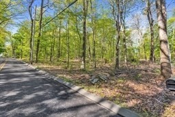 473 V Ridge Road Wilbraham, MA 01095 - Photo 3 of 6