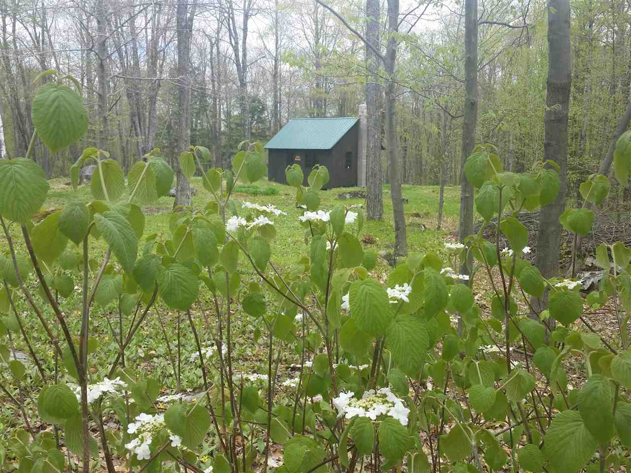 0 Connolly Road Waterbury, VT 05676 - Photo 1 of 11 Gallery Image 1