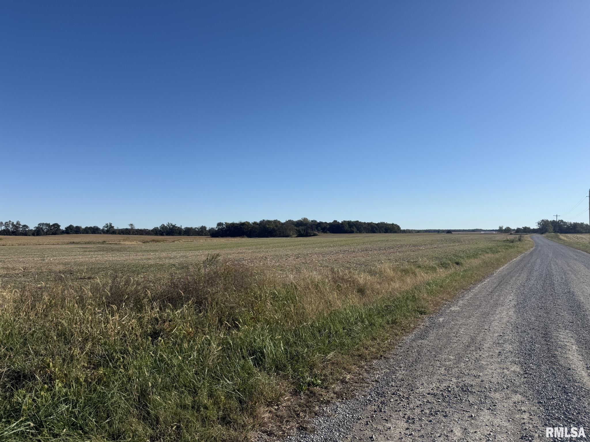 0 Elba Road Eldorado, IL 62930 - Photo 11 of 48