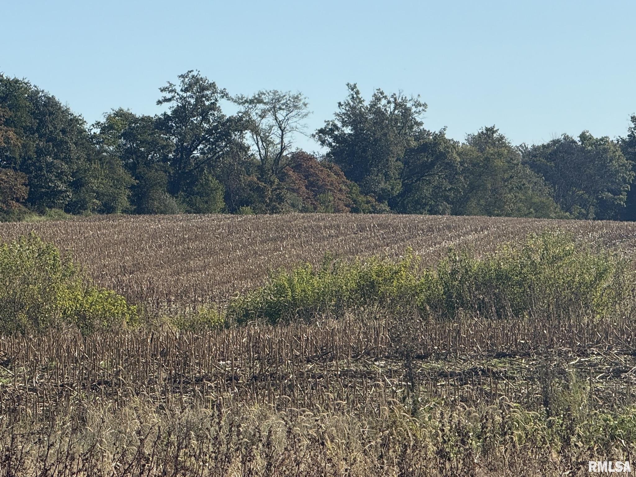 0 Elba Road Eldorado, IL 62930 - Photo 17 of 48