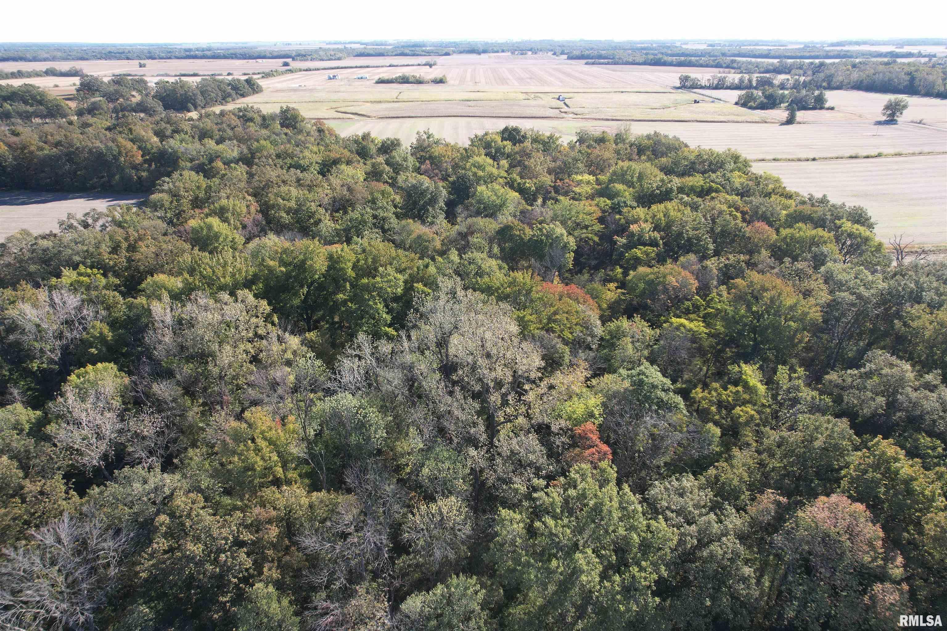 0 Elba Road Eldorado, IL 62930 - Photo 27 of 48