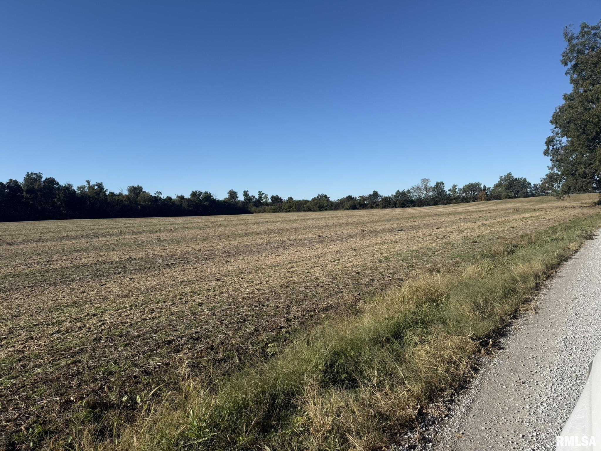 0 Elba Road Eldorado, IL 62930 - Photo 6 of 48
