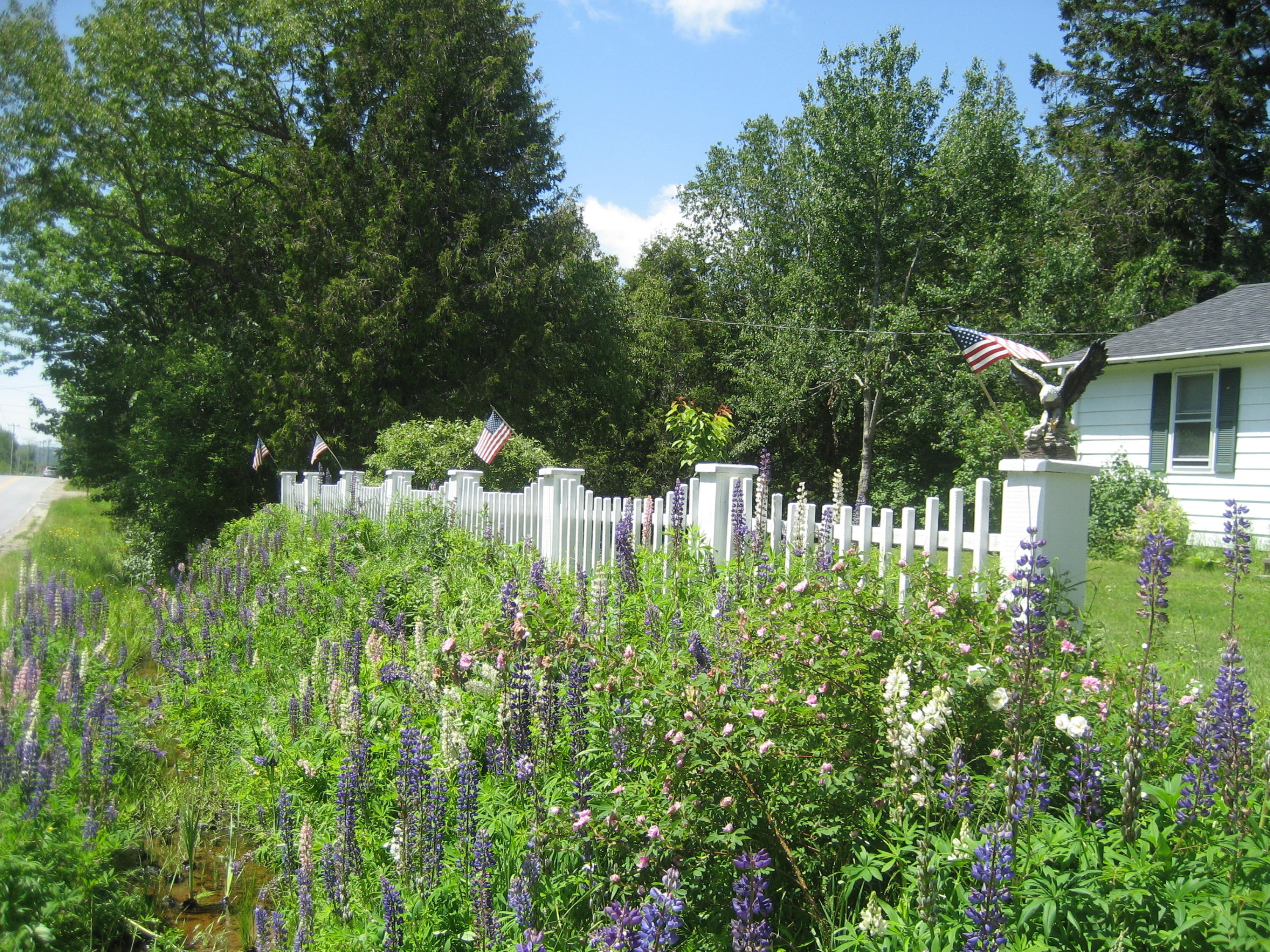 484 Indian River Road Addison, ME 04606 - Photo 2 of 29 IMG_2277