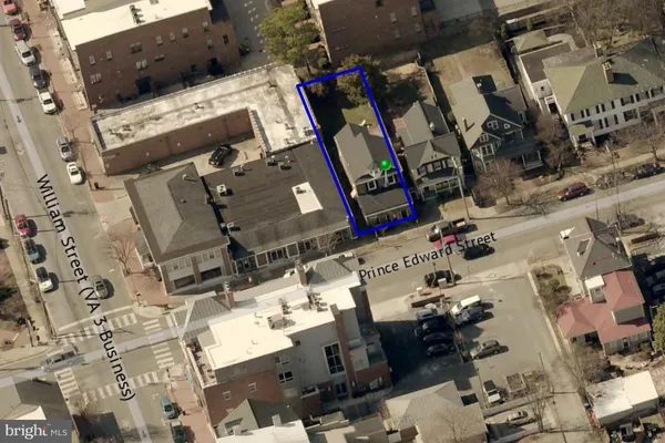 a city view with lot of flower plants