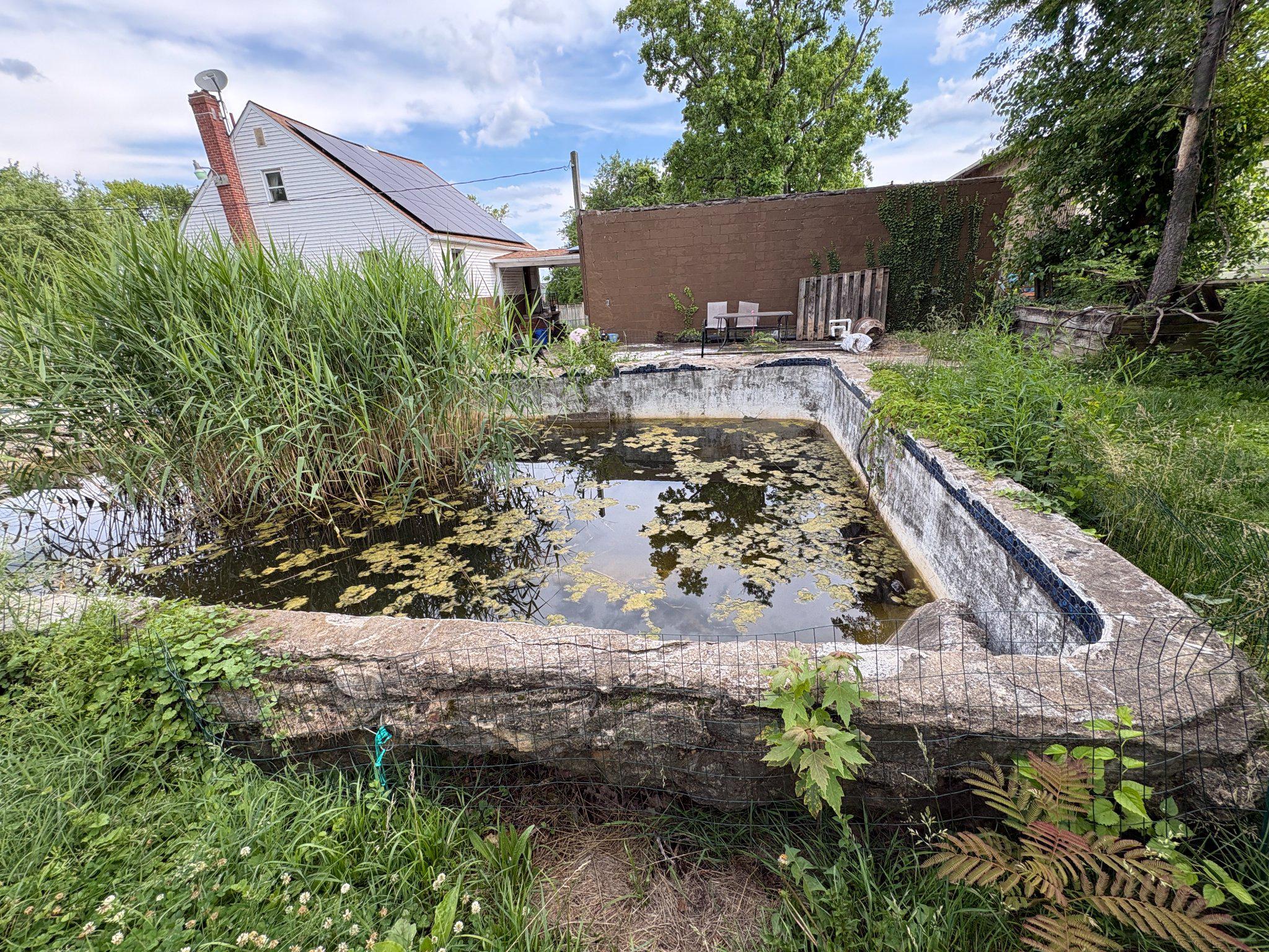 1621 Rosewick Avenue Rosedale, MD 21237 - Photo 36 of 37 Nature reclaiming pool /pond -toads included