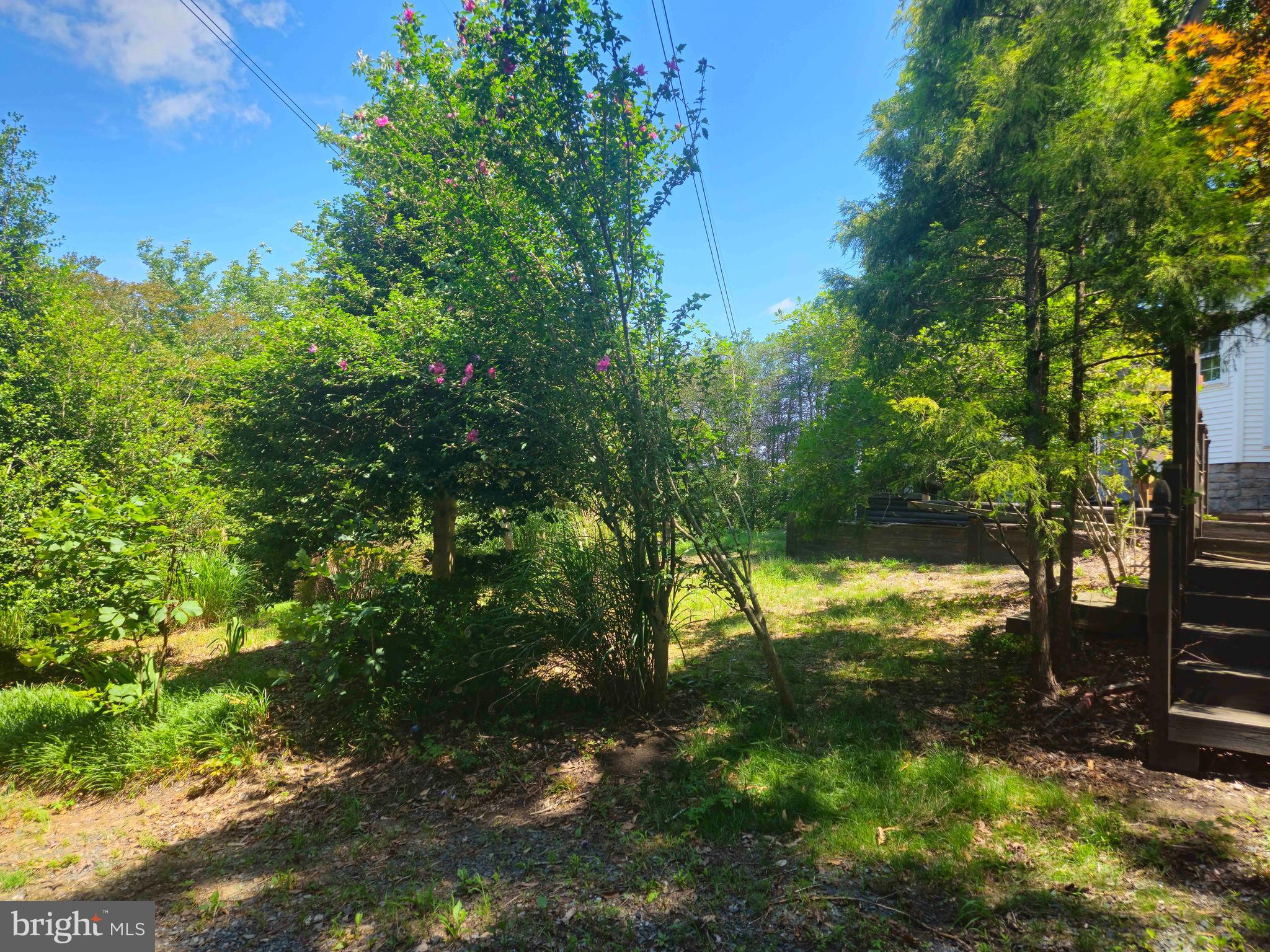 159 Olde Concord Road Stafford, VA 22554 - Photo 58 of 61