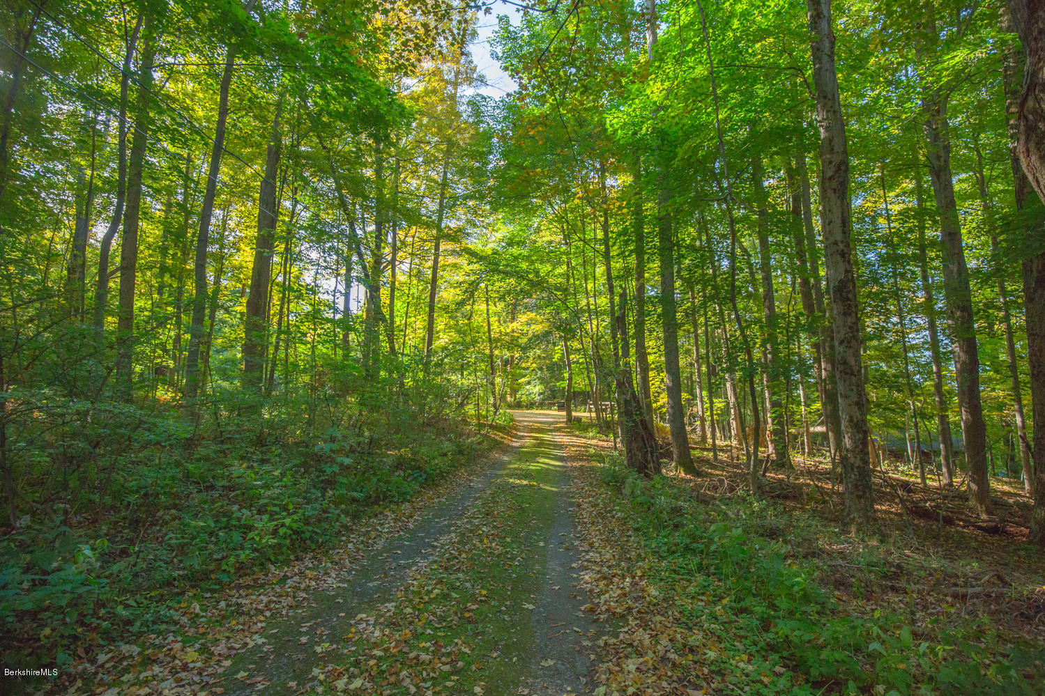 3 Massasoit Road Stockbridge, MA 01262 - Photo 36 of 36 vincentcarusophotography_3massasoitroad_