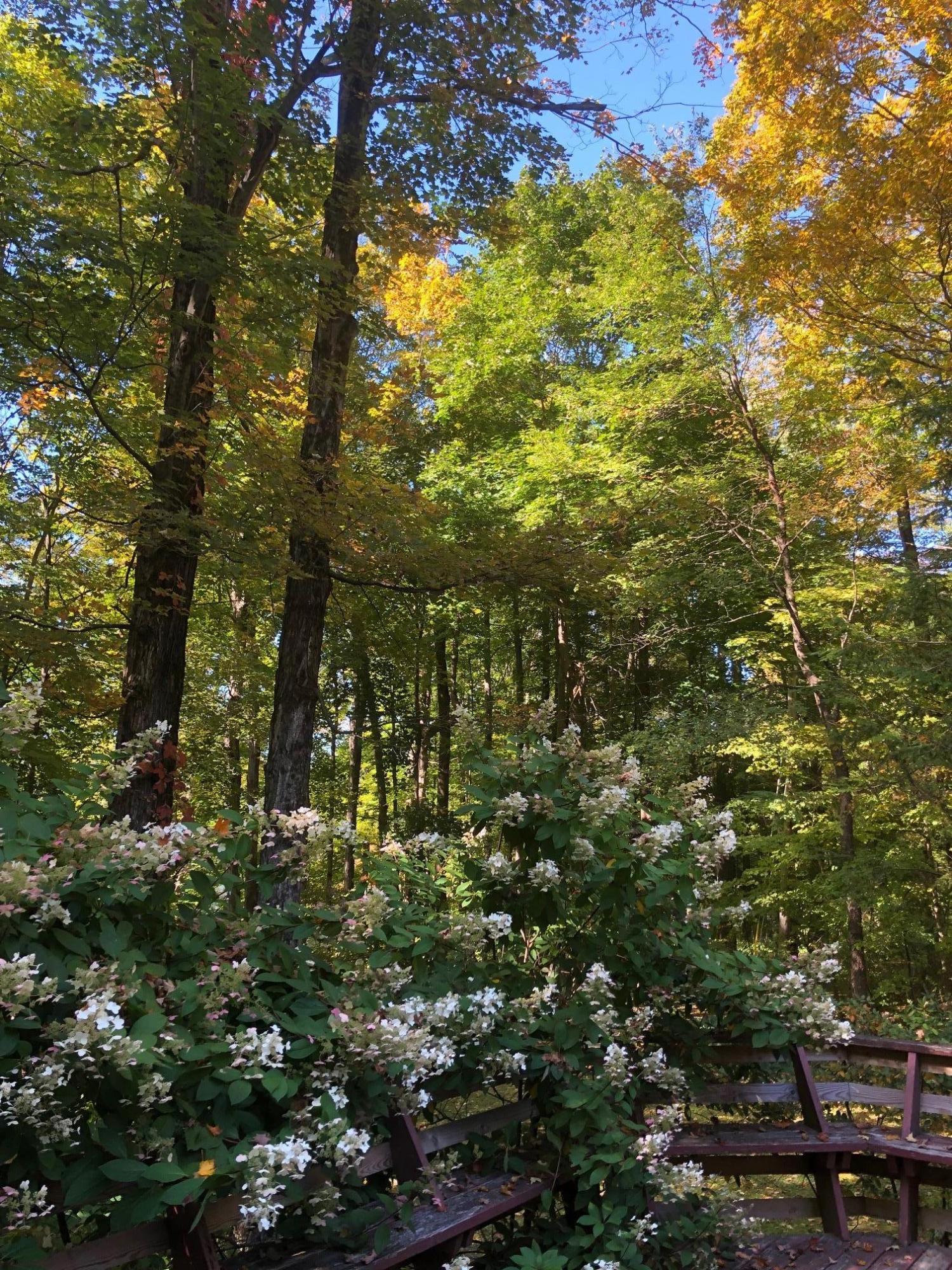 3 Massasoit Road Stockbridge, MA 01262 - Photo 7 of 36 IMG_0634