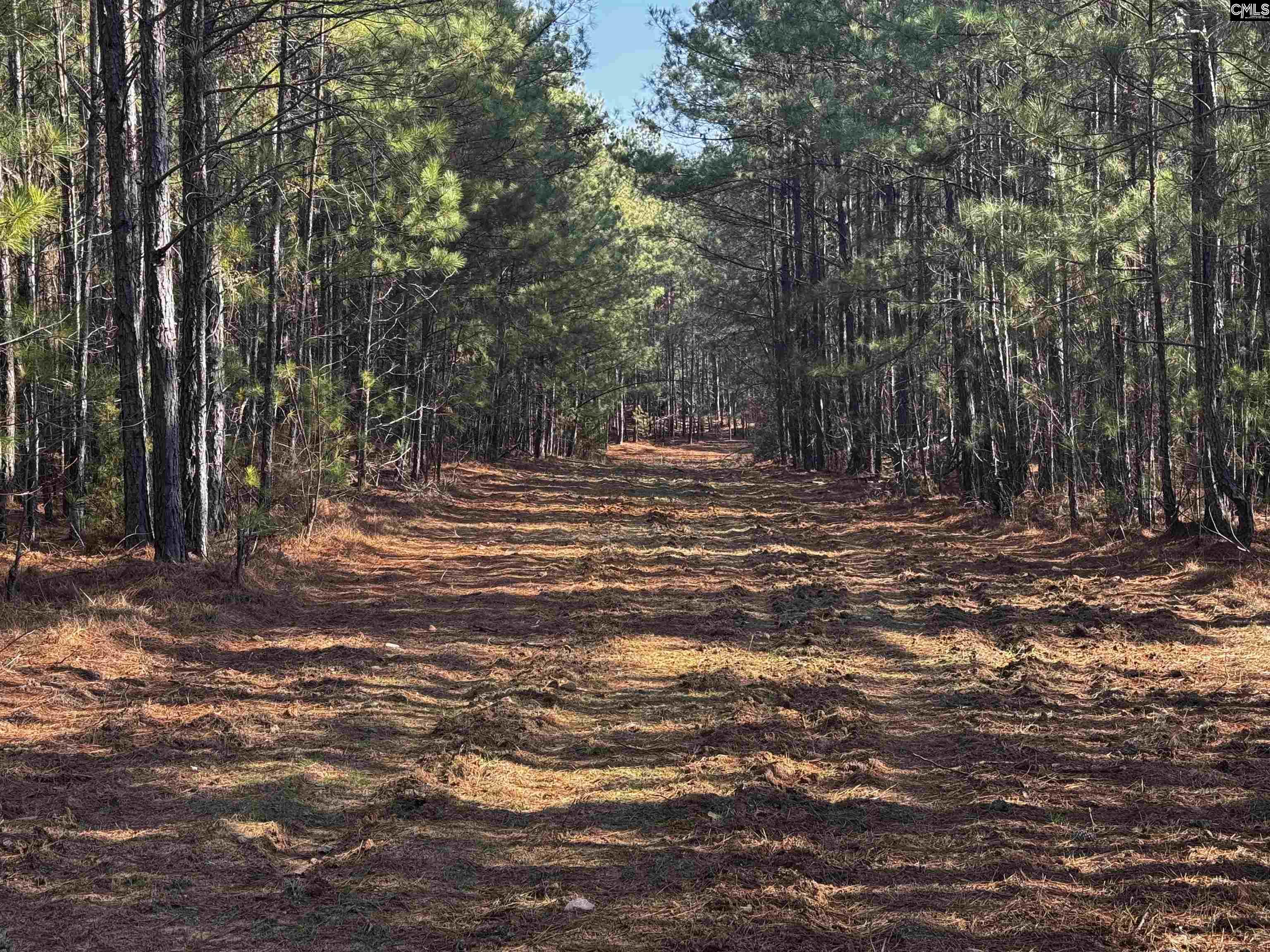 0 Mann Road Winnsboro, SC 29180 - Photo 17 of 22