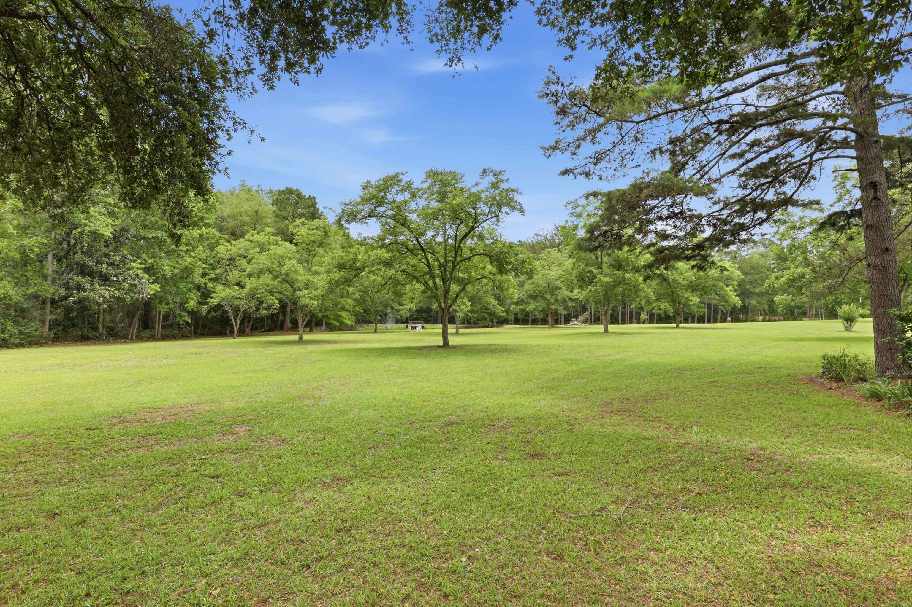 3906 Concord Road Havana, FL 32333 - Photo 42 of 59