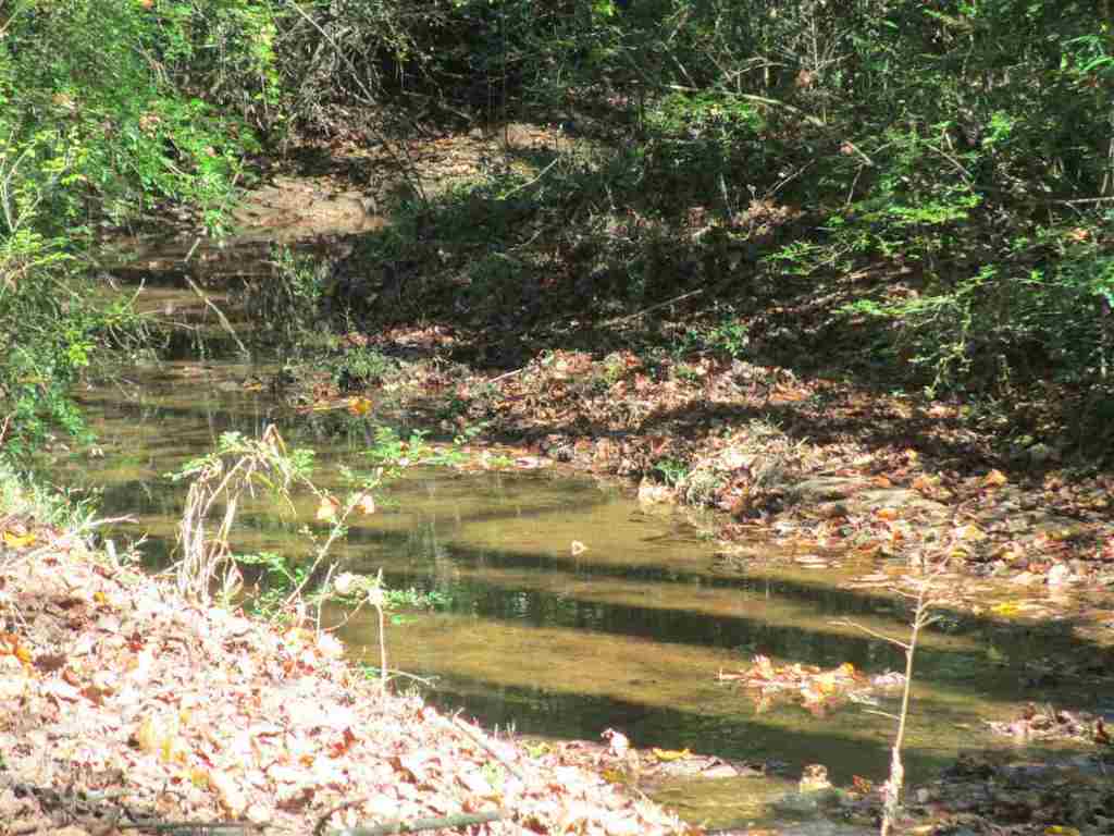 191 West Reedy Fork Road Seneca, SC 29678 - Photo 20 of 36 Gallery Image 20