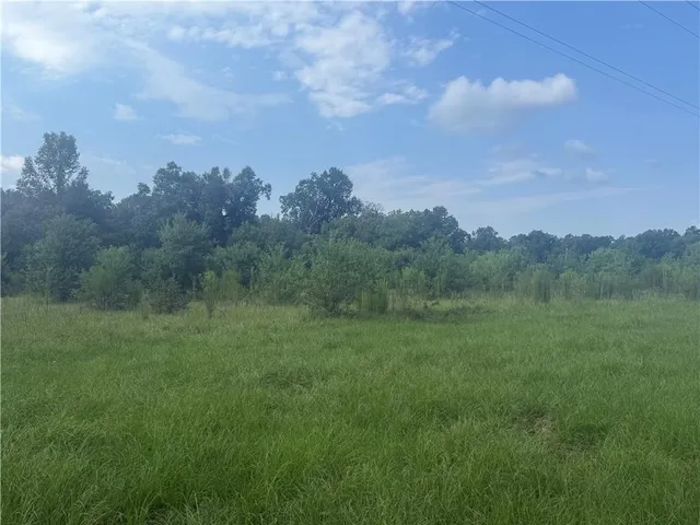 $150,000 | Tbd Paul Road, Deville, LA 71328