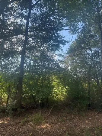 $150,000 | Tbd Paul Road, Deville, LA 71328