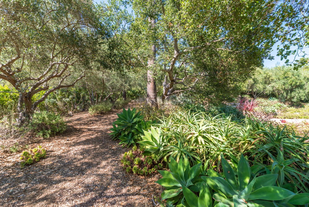 881 San Ysidro Lane Montecito, CA 93108 - Photo 56 of 78 a backyard of a house with lots of green space