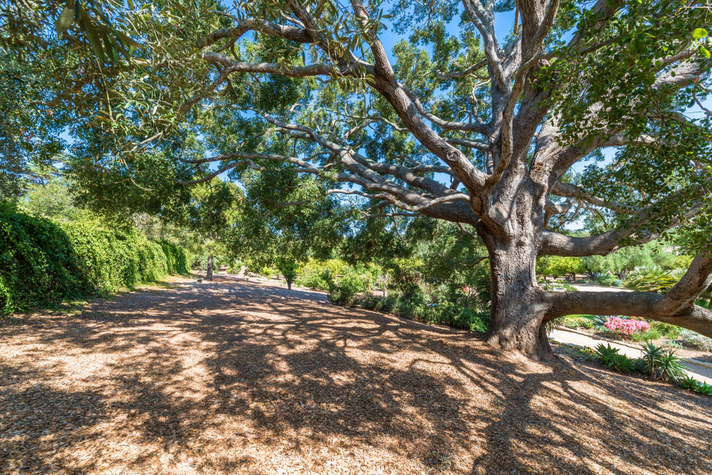 881 San Ysidro Lane Montecito, CA 93108 - Photo 57 of 78 881SanYsidro-0067-web