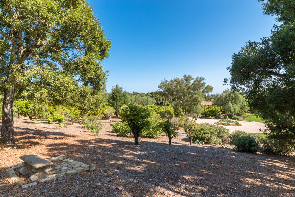 881 San Ysidro Lane Montecito, CA 93108 - Photo 58 of 78 a view of a yard with plants and large trees