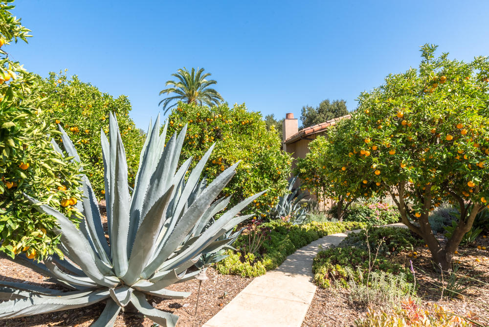 881 San Ysidro Lane Montecito, CA 93108 - Photo 61 of 78 881SanYsidro-0071-web