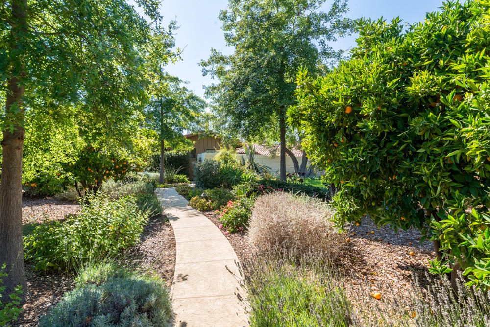 881 San Ysidro Lane Montecito, CA 93108 - Photo 62 of 78 881SanYsidro-0073-web