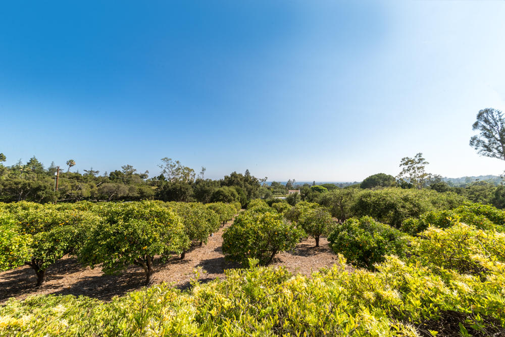 881 San Ysidro Lane Montecito, CA 93108 - Photo 66 of 78 a view of a lake with mountains in the background