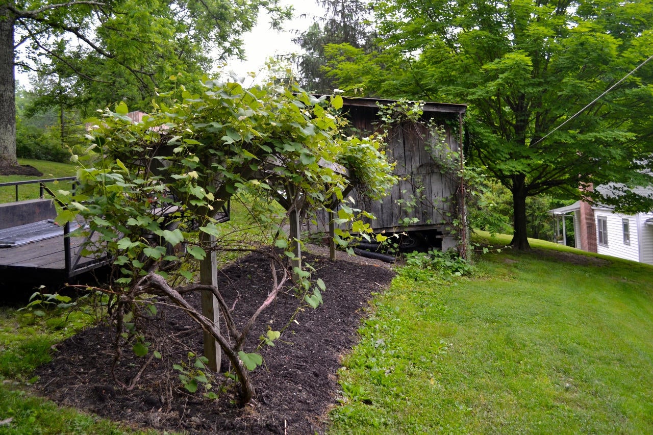 401 Mike Stuart Road Ronceverte, WV 24970 - Photo 26 of 35 Gallery Image 26