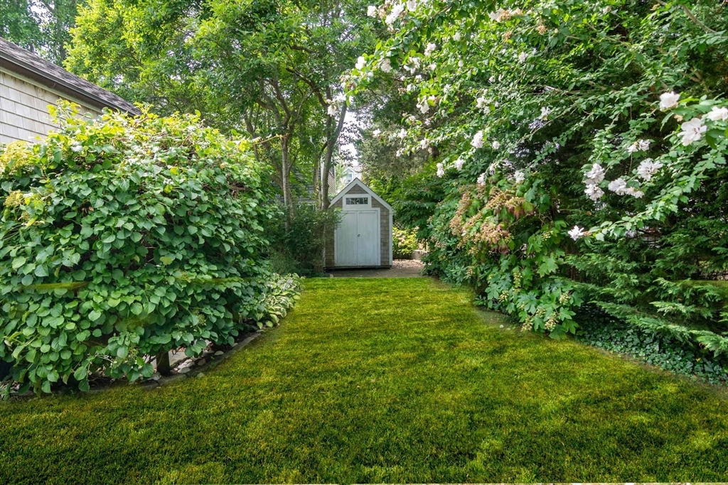 2 Green Avenue Edgartown, MA 02539 - Photo 42 of 42 a garden view with a trees