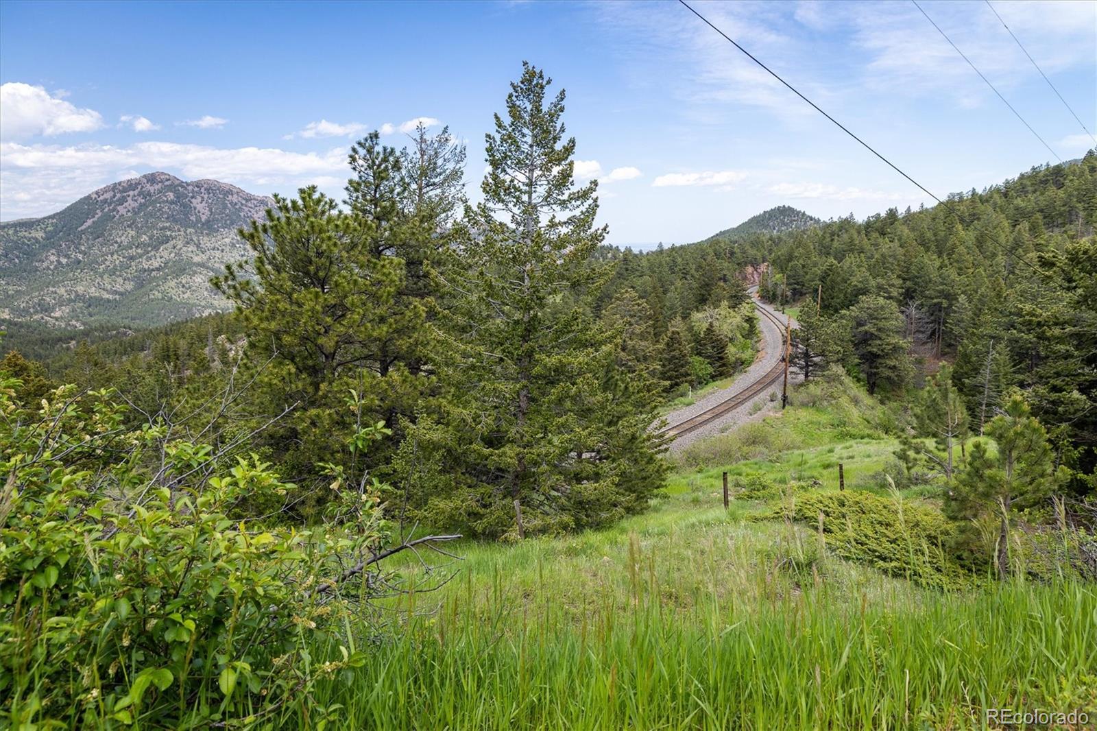 1546 Chute Road Golden, CO 80403 - Photo 17 of 36 a view of a lush green field