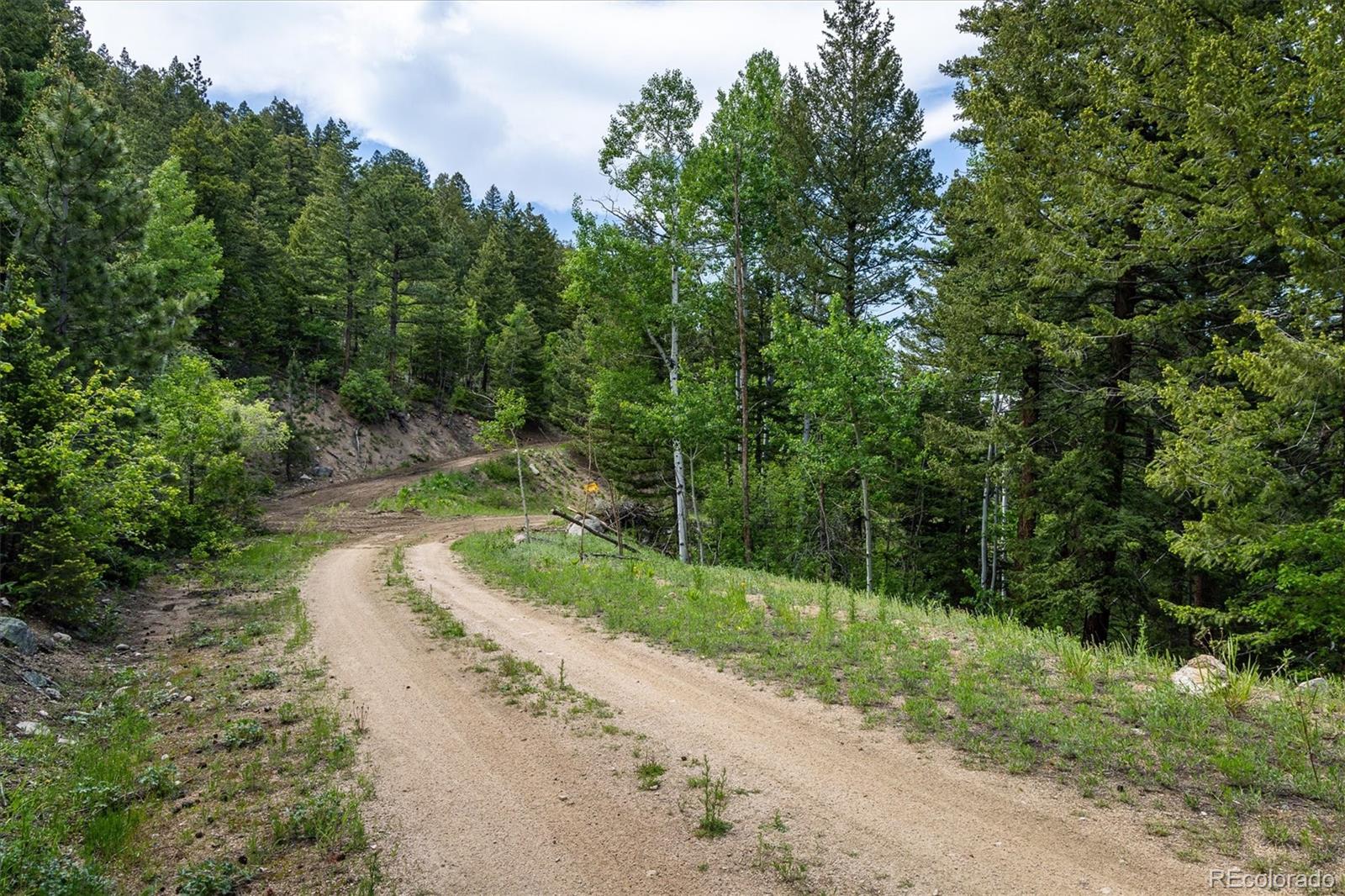 1546 Chute Road Golden, CO 80403 - Photo 19 of 36 a view of a park with a trees