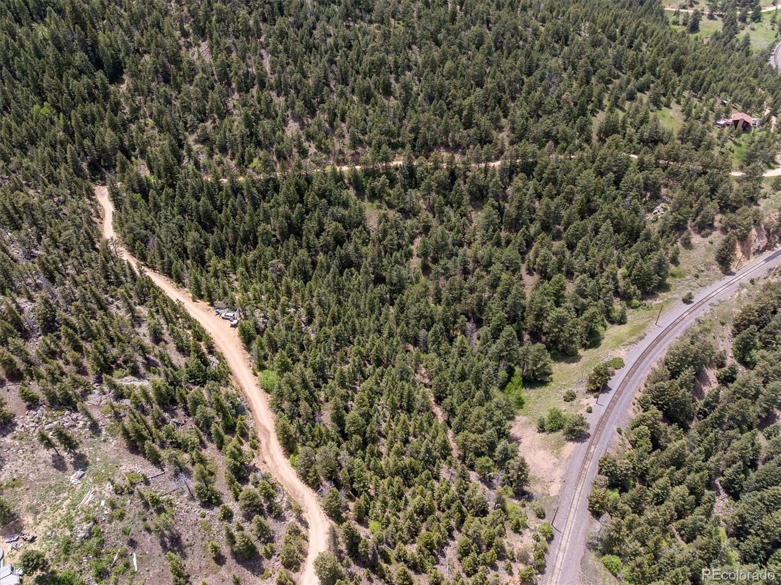 1546 Chute Road Golden, CO 80403 - Photo 26 of 36 a view of a forest with a tree