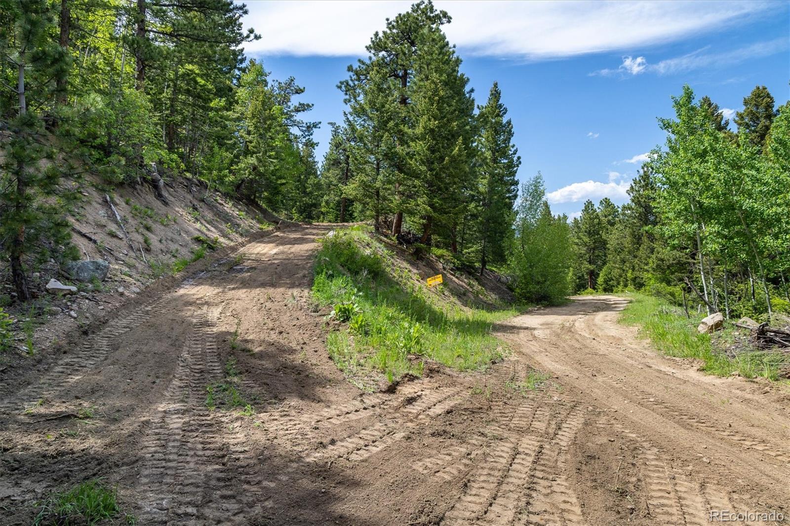 1546 Chute Road Golden, CO 80403 - Photo 4 of 36 a view of a yard with an trees