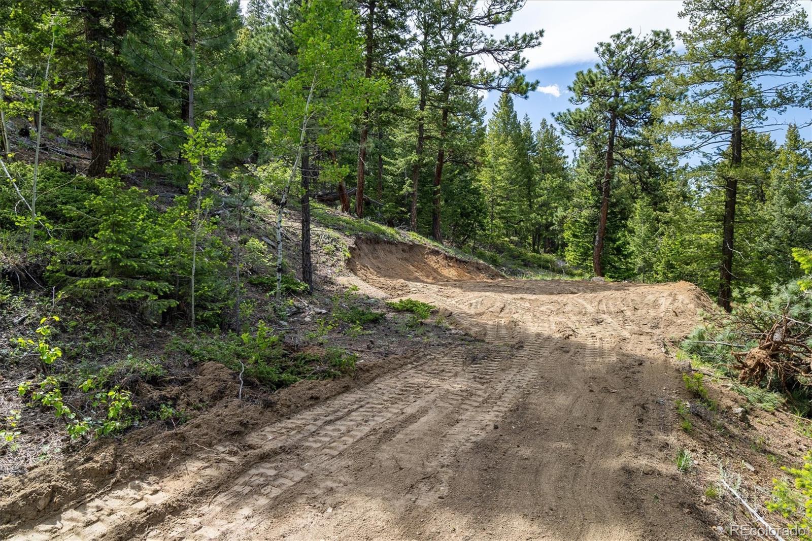 1546 Chute Road Golden, CO 80403 - Photo 5 of 36 a view of a yard with plants and trees