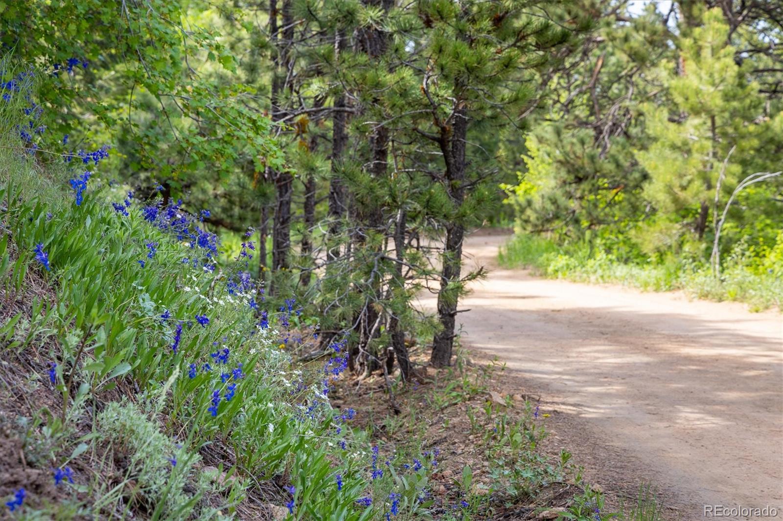 1546 Chute Road Golden, CO 80403 - Photo 6 of 36