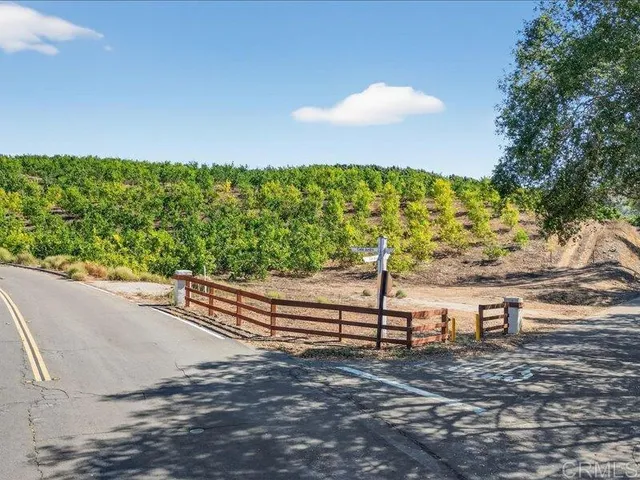 a view of a yard with an outdoor space