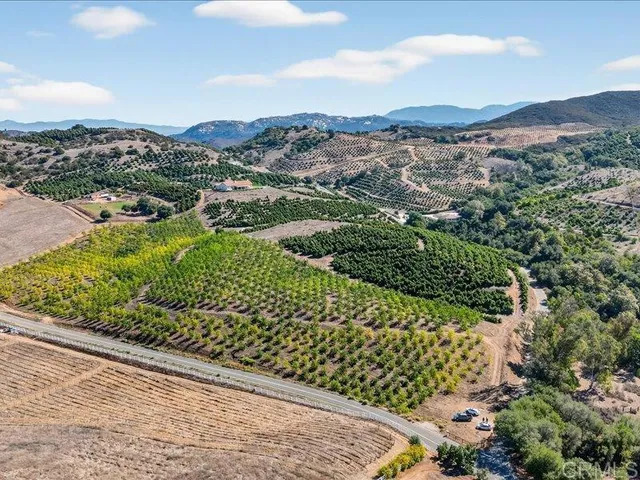a view of a pathway with a garden