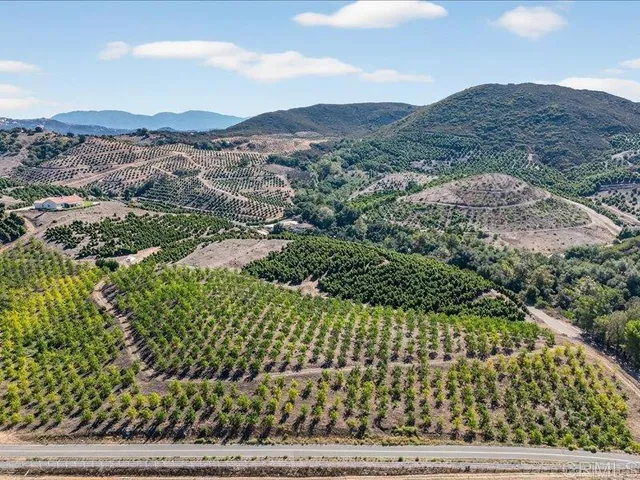 a view of a garden with an ocean