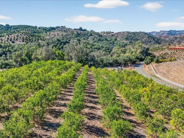 a view of a lush green field with mountains in the background