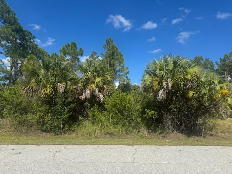East Hallmark Boulevard North Port, FL 34288 - Photo 1 of 1 a view of a yard with palm tree